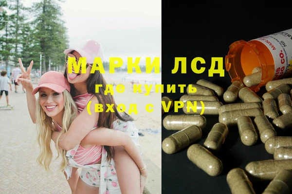 a pvp Алзамай
