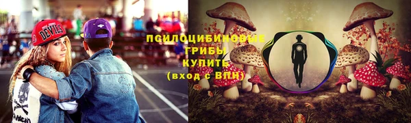 дурь Алексин
