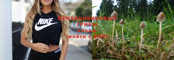 a pvp Алзамай