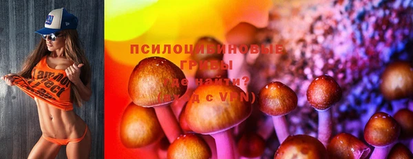 дурь Алексин