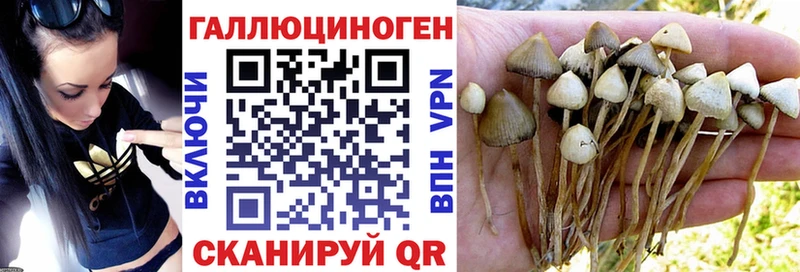 гидра маркетплейс  Отрадная  Галлюциногенные грибы ЛСД  наркота 